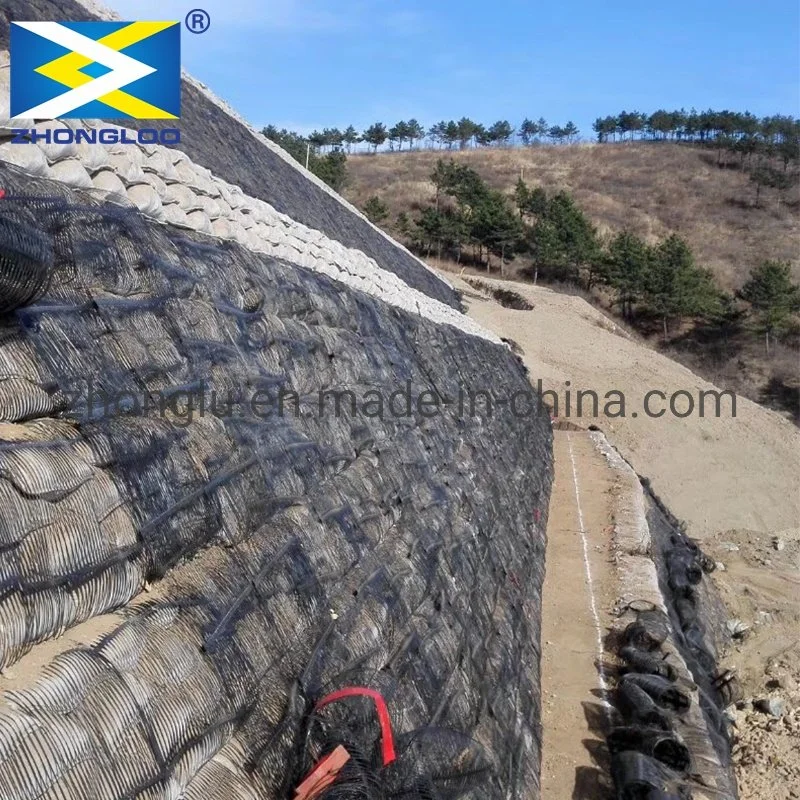 Zhonglu Factory Price Plastic PP Biaxial Uniaxial Geogrids for Construction