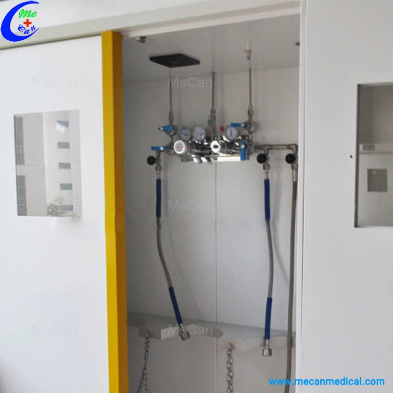 Lab Gas Cylinder Cabinets High Cabinet for Laboratory