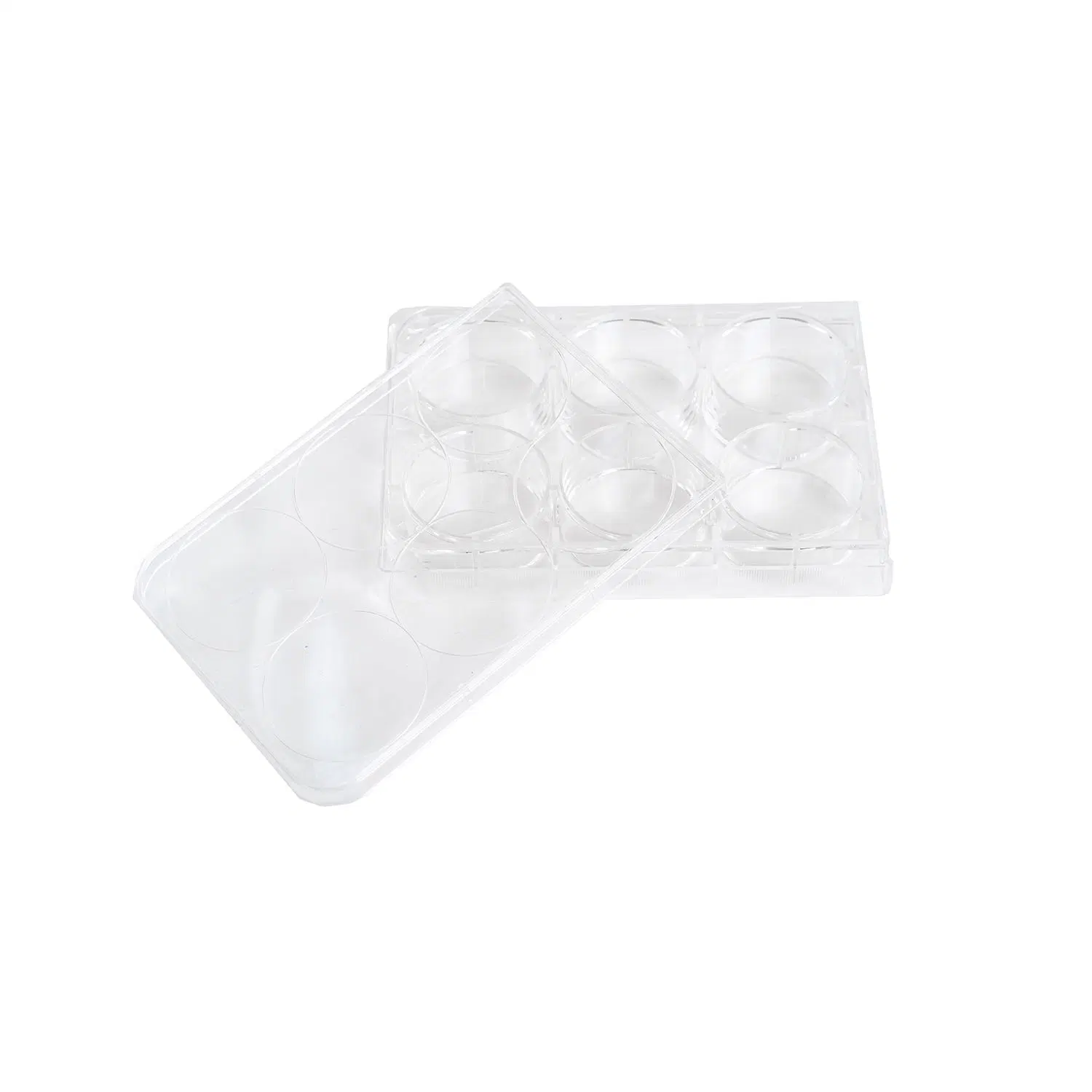 Disposable Agar Plates Sterile Petri Dish Free Samples From Manufacturers