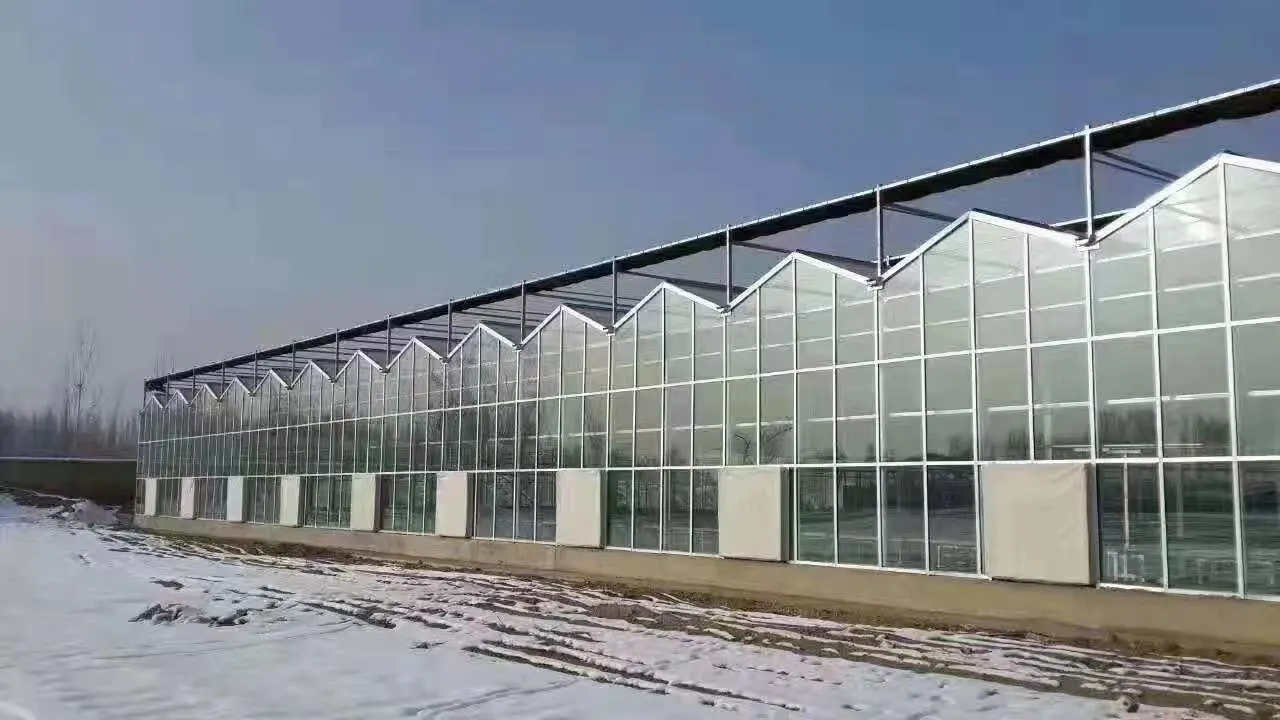 Agricultural Greenhouses and Agriculture Equipment