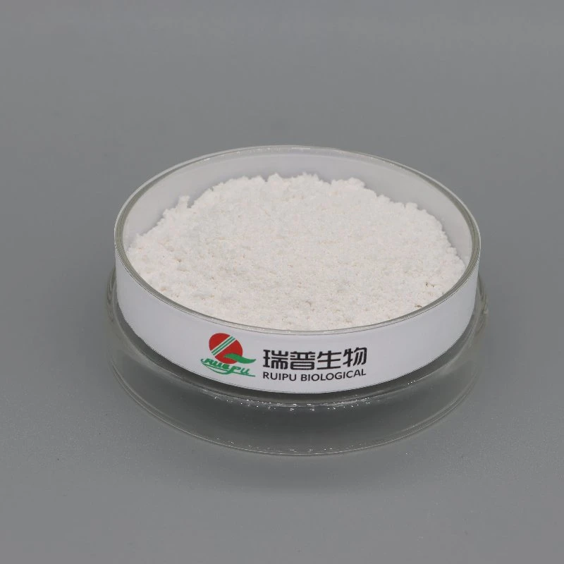 Magnesium Gluconate USP/Bp/FCC CAS 3632-91-5 Manufacture