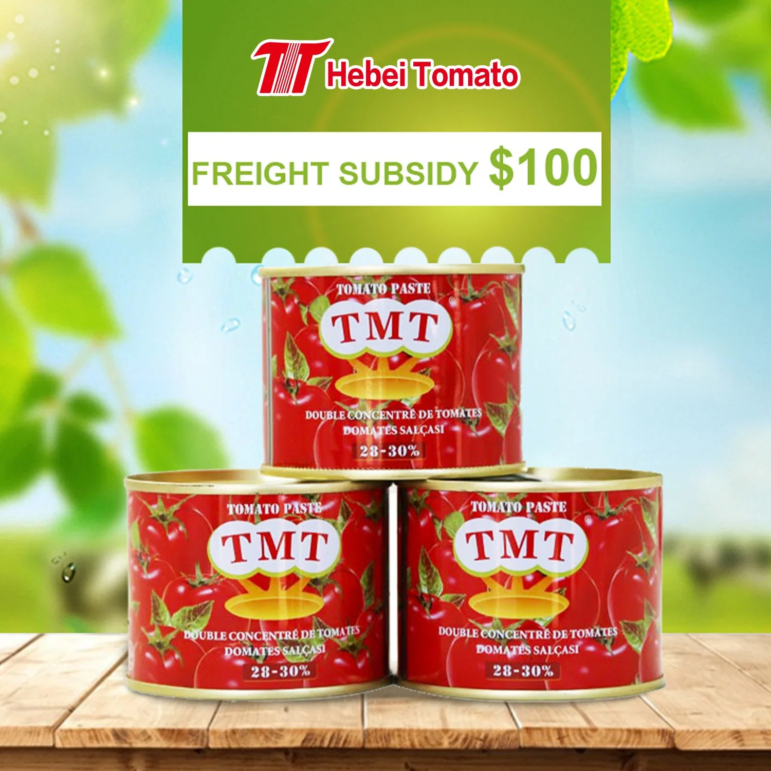 Wholesale/Supplier High quality/High cost performance  Easy Open Canned 210g Tomato Paste