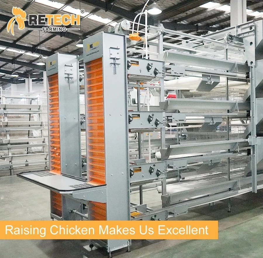 2023 Hot Sale Automatic Poultry Farming Equipment Chicken H Type Layer Battery Cage