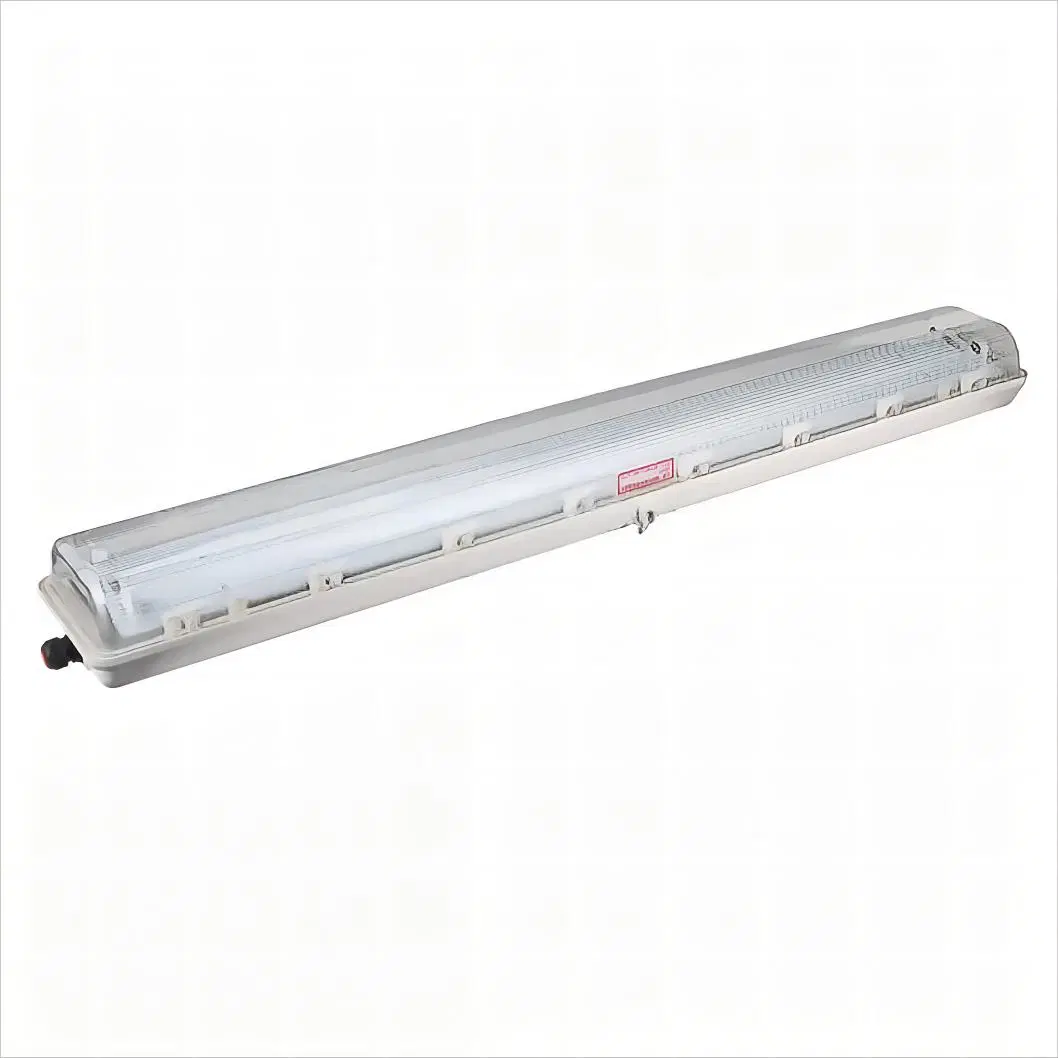 IP66 LED Explosion-Proof Lamp Flameproof Fluorescent Tube Single and Double Tube Lights