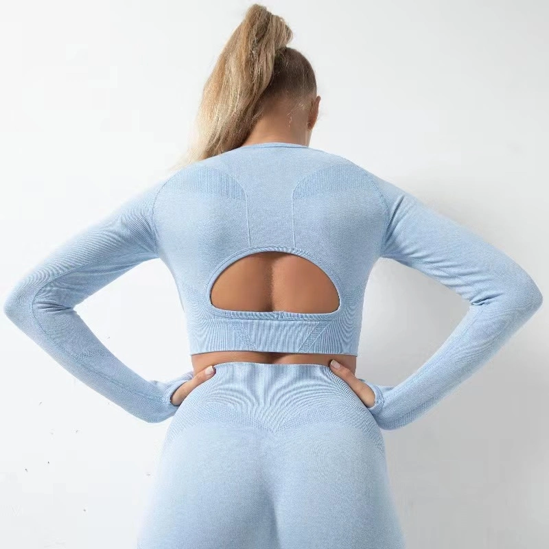 Long Sleeves Gym Wear Fitness Clothing Breathable Hollow out Yoga Set