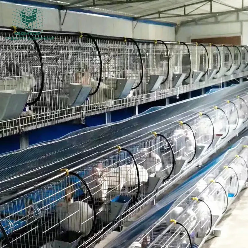 Commercial Outdoor Galvanized Wired Mesh Rabbit Breeding Cages For Philippine