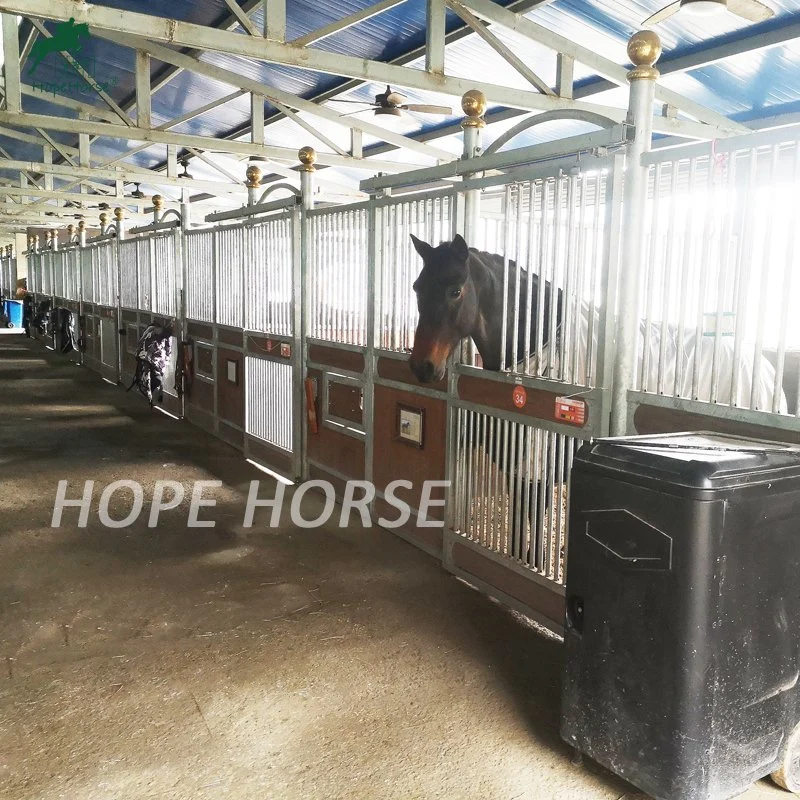 Steel Frame Horse Stall Wooden Panel Stables Horse Stall Boxes