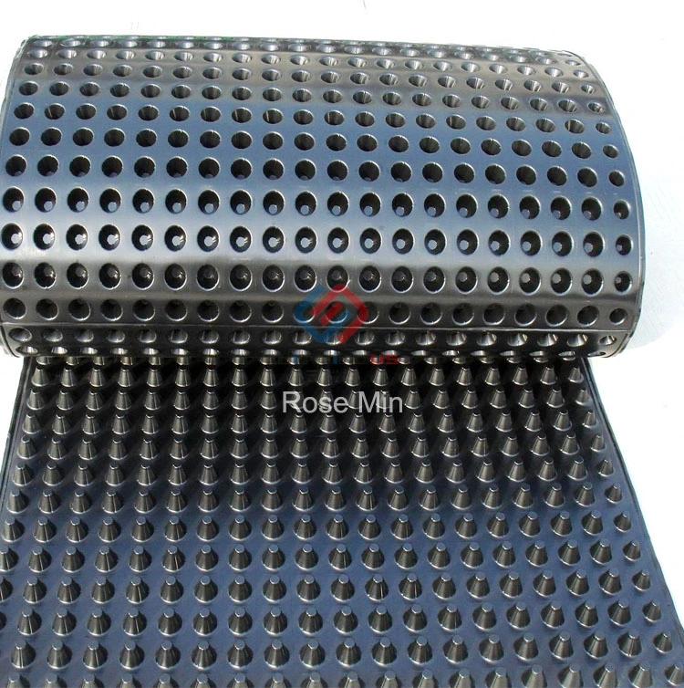 Cheap Price Drainage Board HDPE Composite Dimple Geomembrane