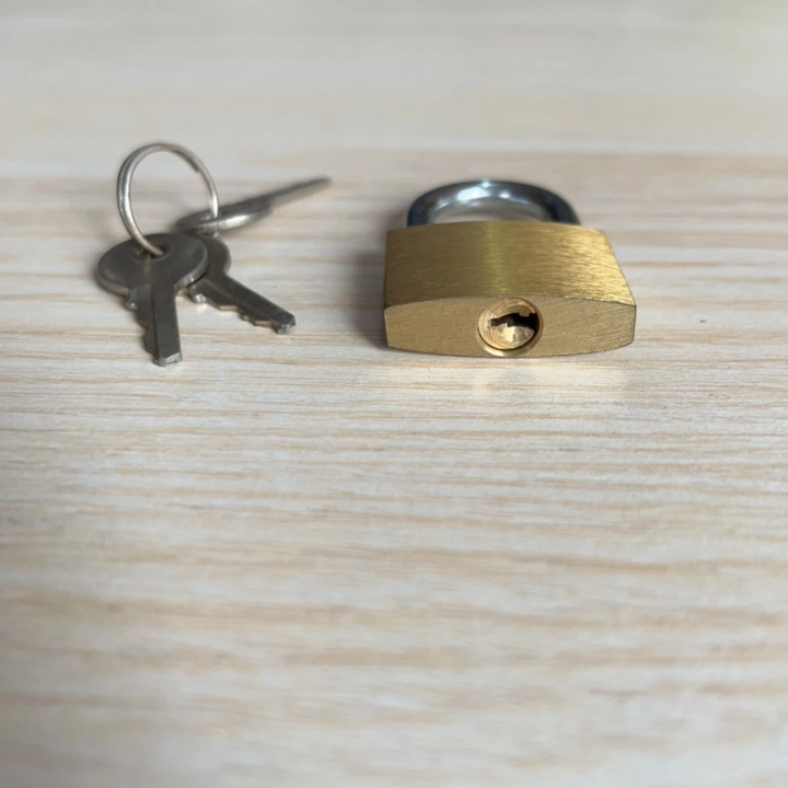 Master Key System Solid Brass Padlock