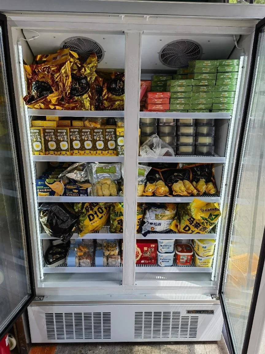 تجارية Supermarket Plug-in Vertical Glass Door Display Freezer