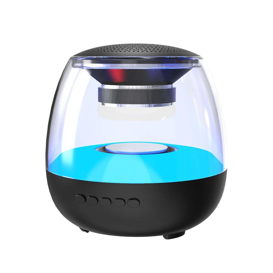 Transparent, RGB Light Outdoor Portable Bluetooth Speaker