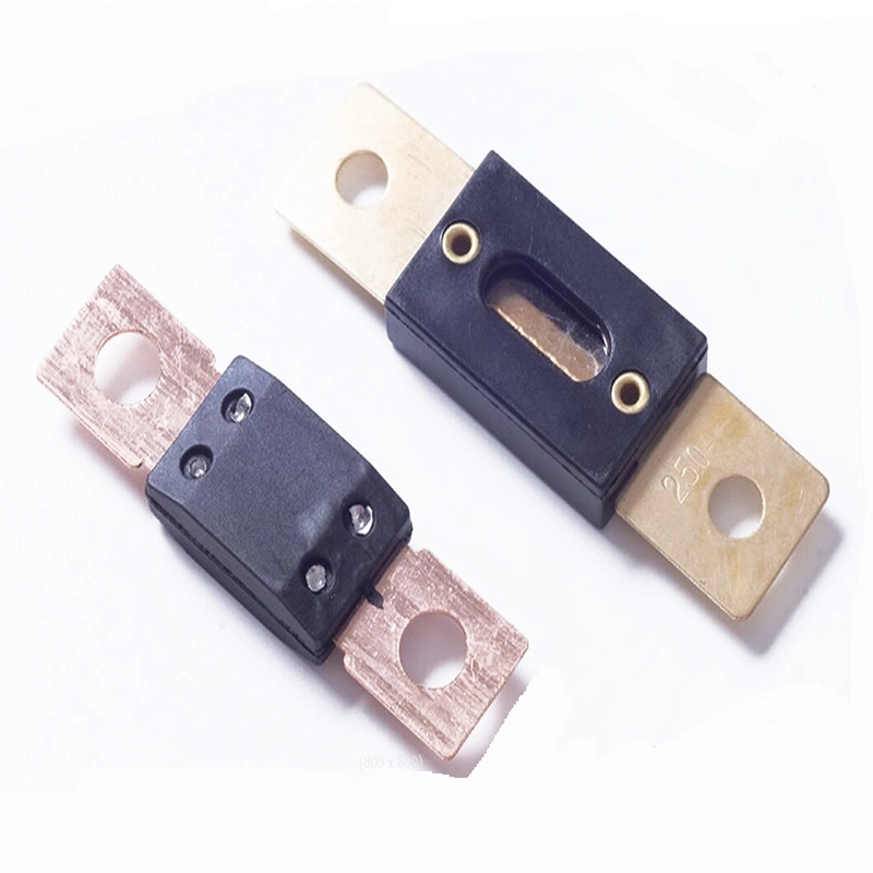 AMS/Ans 70A100V Round Hole Type Auto Fuse Blade (Manufacturer Reomax Design) AMS-Ans. Ds-100V70A