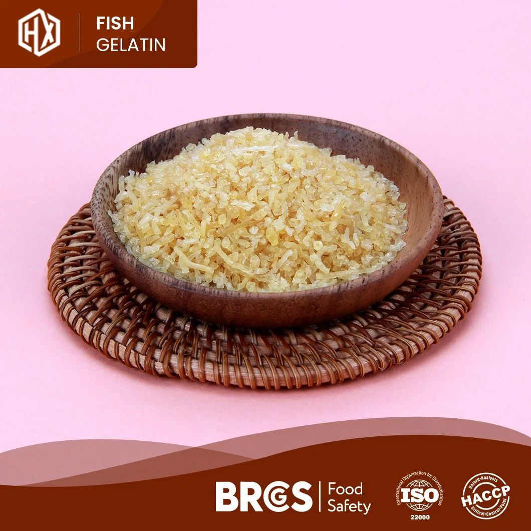 Haoxiang Free Sample Cod Fish Skin Gelatin China Food Grade Cod Fish Skin Gelatin Factory Good Rationality Performance Halal Cod Fish Skin Gelatin