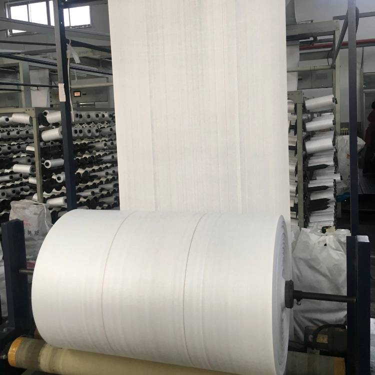 PP Woven Transparent Laminated Waterproof Fabric Roll Fabric Sheet