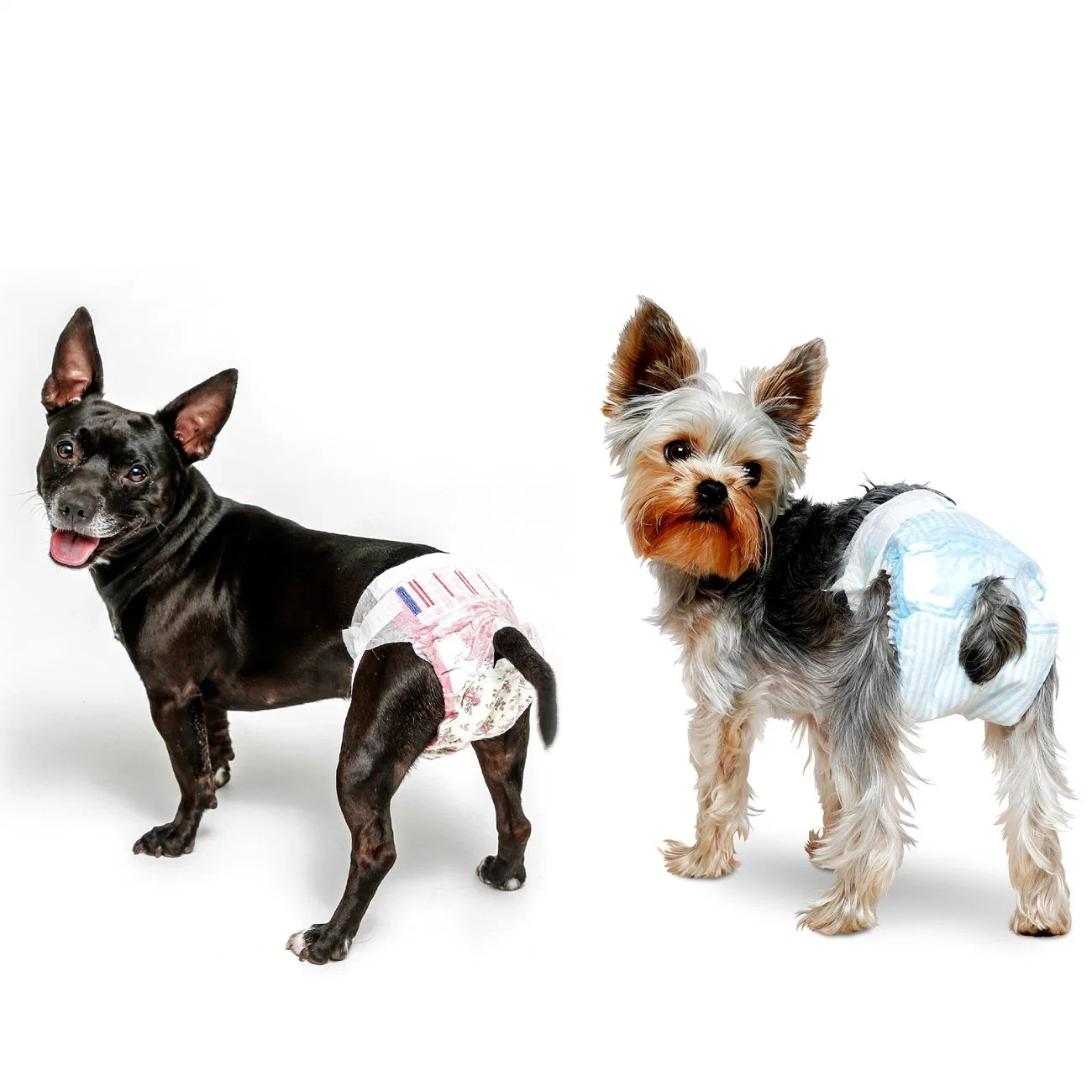 Hot Selling Eco-Friendly Disposable High Absorbent Female and Male Soft Outdoor Pet Wraps Dog Diapers/Pads on Sale in Stocks with FDA