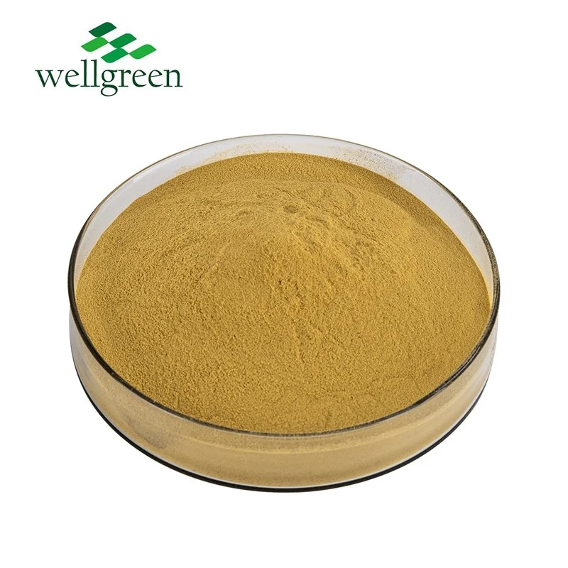 Wellgreen Natural 98% CAS 491-70-3 Sophora Japonica Extract Water Soluble Luteolin Powder