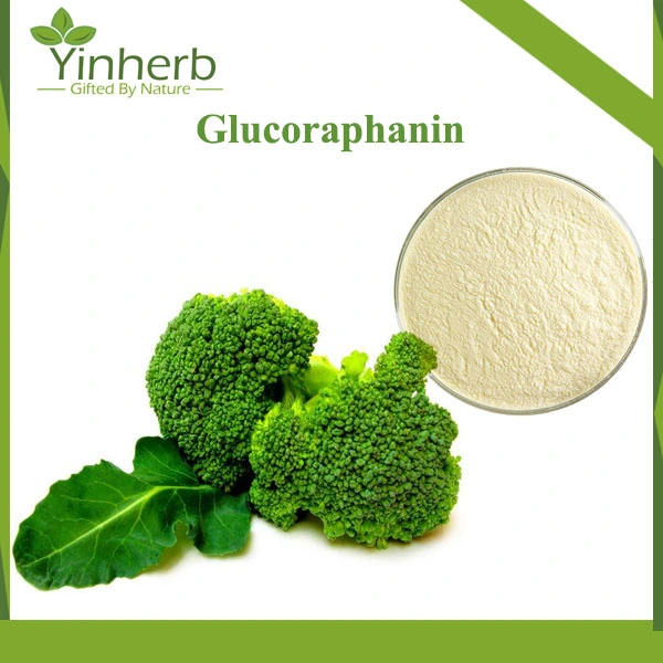 China High Quality Natural Glucoraphanin Broccoli Extract Raw Powder