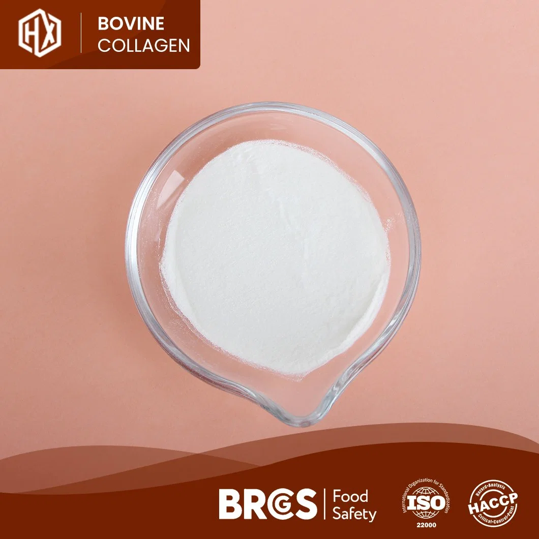 Haoxiang Bulk Comprar Alimentos Grado colágeno Peptide piel bovina de alta calidad Colágeno China Fabricación Mayoreo piel de bovino Hide Hidrolizado péptidos de colágeno