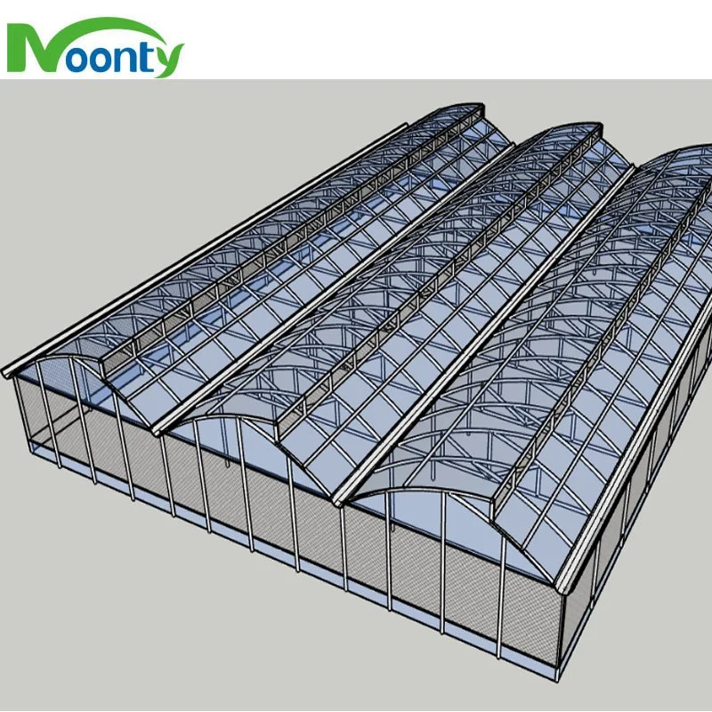 Customized Commercial Multi Span Plastic Film/ Polycarbonate Sheet/ Glass/ Blackout Greenhouse with Hydroponics/Aeroponics Grow System