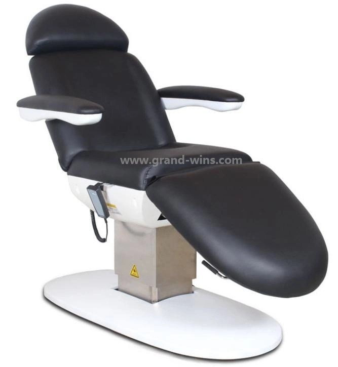 New Style 3 Motors Electric Lift Beauty Salon Massage Bed