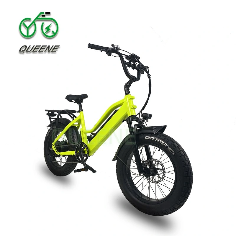 Queene/Motorized 20ah batería de litio E bicicleta 36V 48V 350W 500W Bicicleta eléctrica