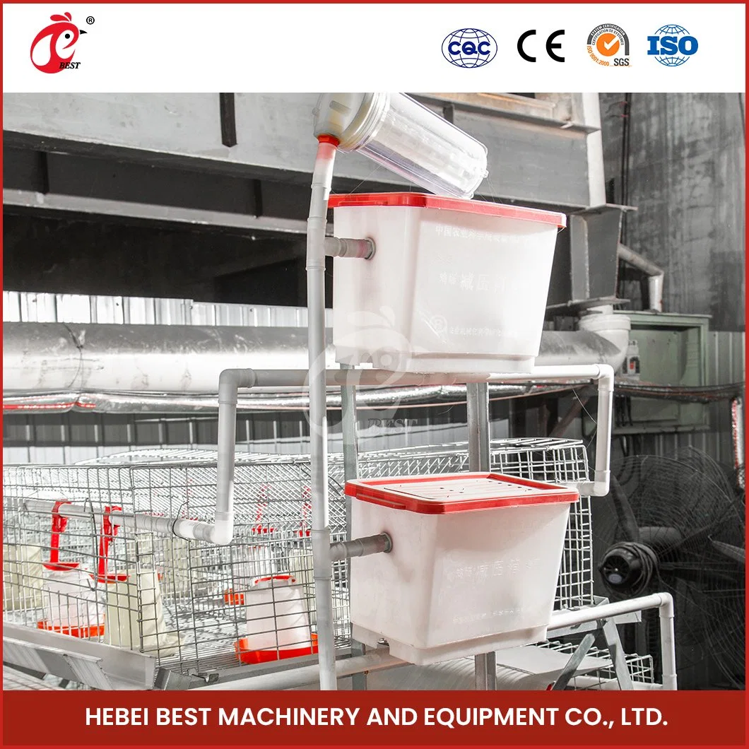 Bestchickencage a Type Automatic Pullet Cage China 3 Layers Chicken Pullet Cage Factory Wholesale/Supplier Quick Clean Disinfect Features Chicken Pullet Coop