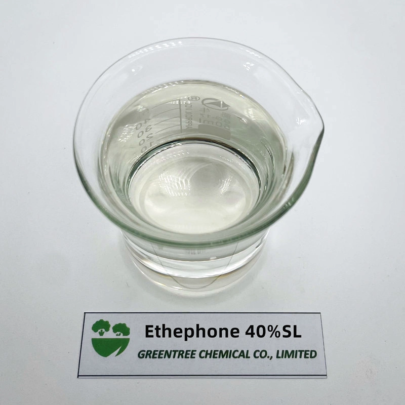 Ethephon 2.5% Chemical for Rubber Tree Stimulation