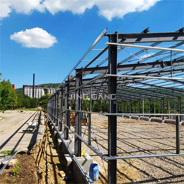 Steel Structure Metal Frame Prefab Hangar Shed for Workshop Warehouse Building