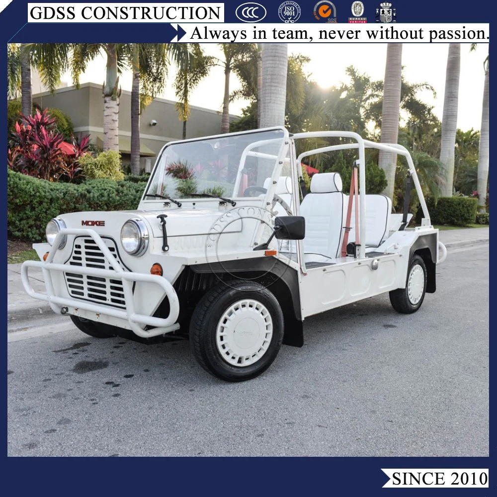 Benzin Power 600cc 4 Sitze Mini Moke JP Auto