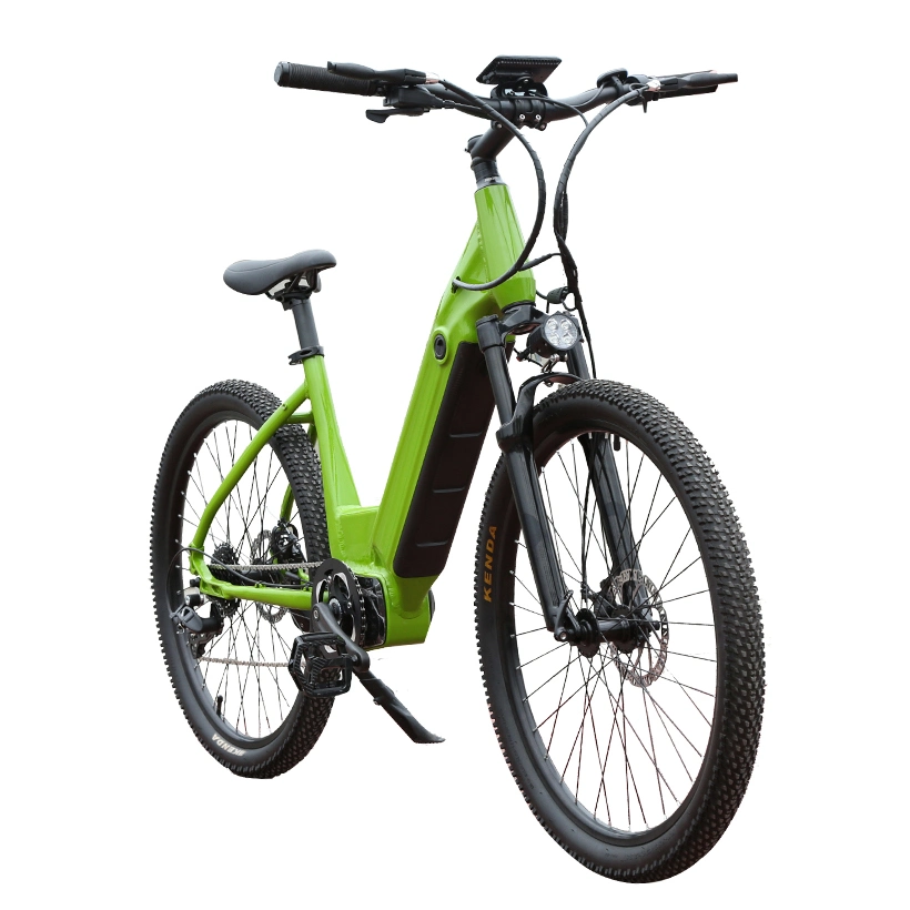 350W 10,4 bicicleta elétrica Mini bicicleta Electronic bicicleta Cheap Electric Bicicletas de terra e-bike