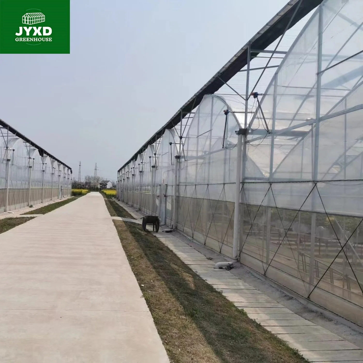 Film Greenhouse with Vertical Hydroponic Microgreen Trays Grow System