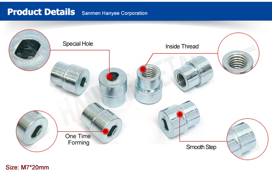 Through Hole Shaped Head Insert Nut Step Fastener