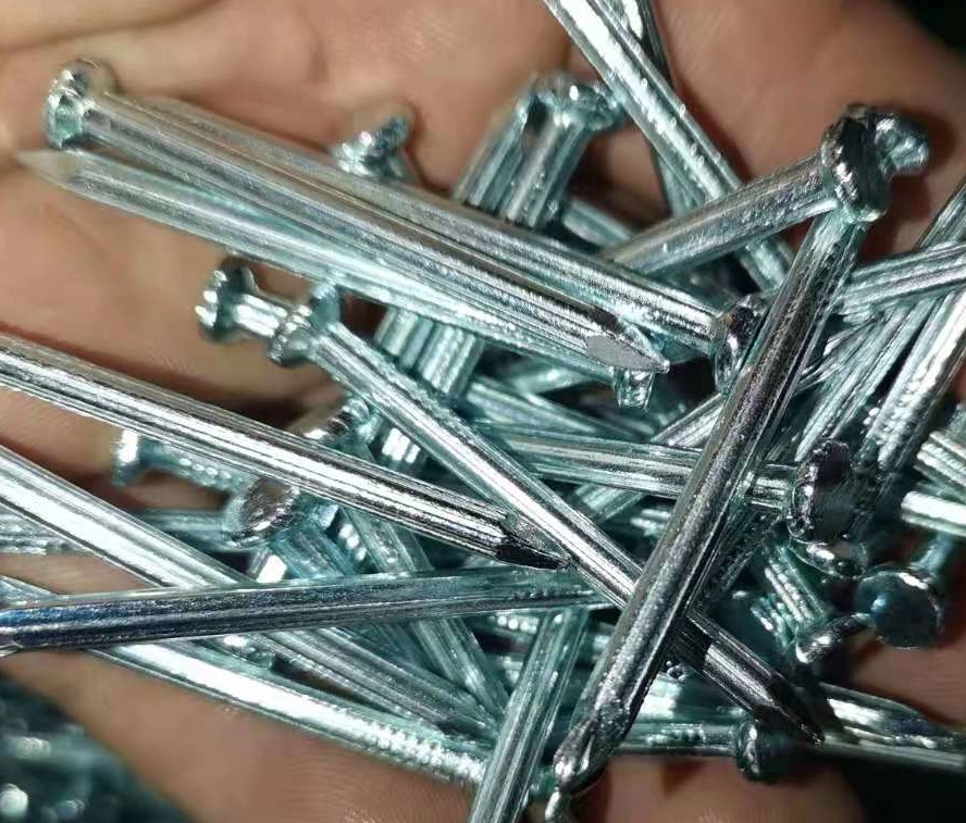 China Wholesale Concrete Nails/Steel Nails/Screw/Wire Nails