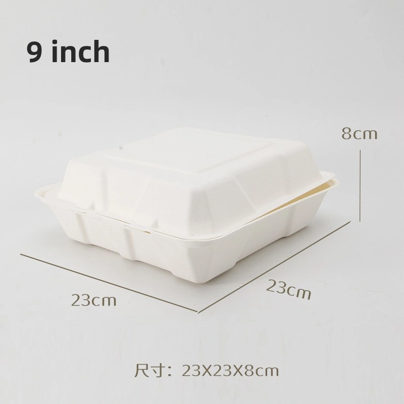 Hot Sale Food Container More Rigid Disposable Tableware for You Want