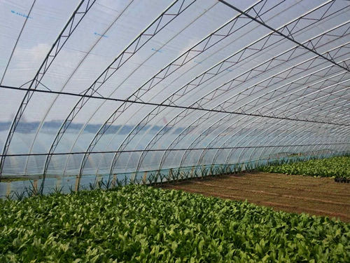 LDPE Anti-UV película agrícolas de gases de efecto invernadero la película de plástico para la plantación de hoja de plástico