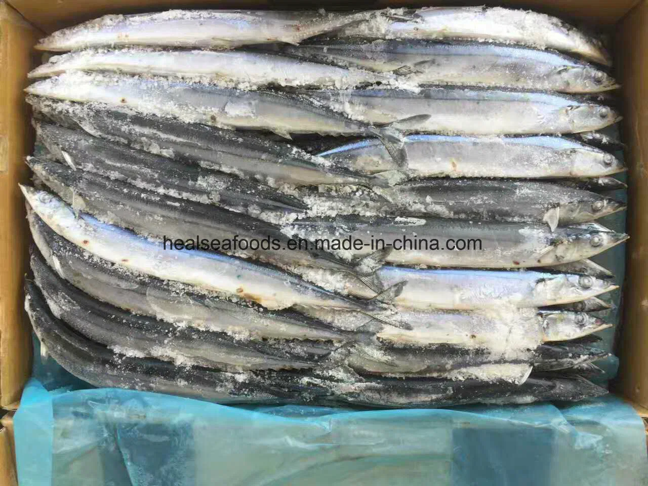 Chinese Fresh Pacific Saury Mackerel Price