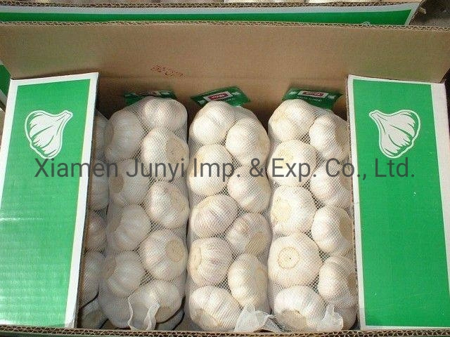 Fresh Vegetable 5.5cm White Garlic 10kg/Mesh Bag