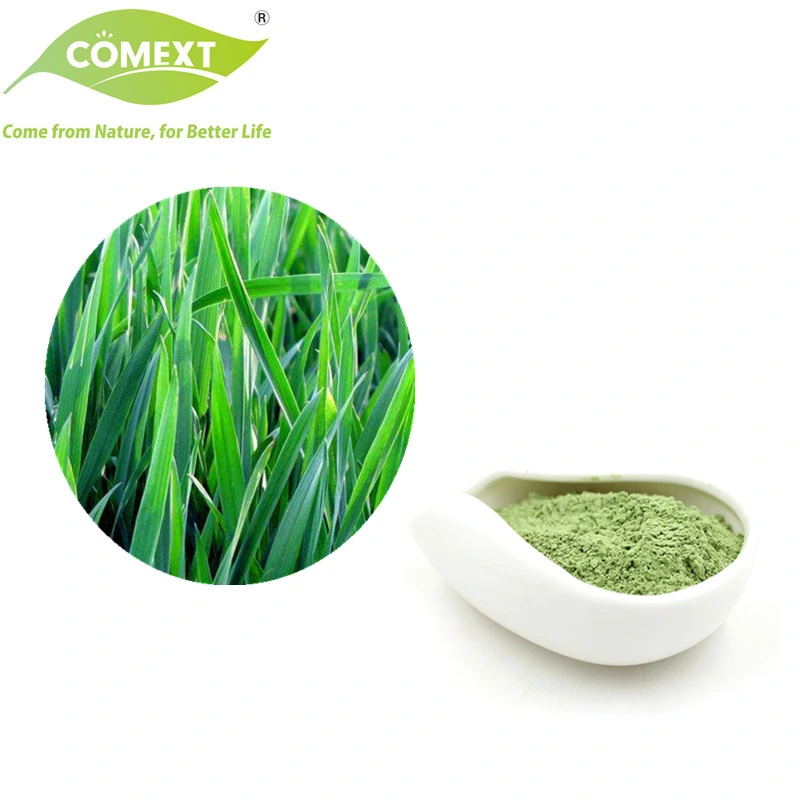 Comext USA Warehouse in Stock Free Sample High Quality Organic Wheat Grass Powder