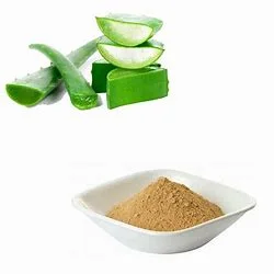 Preço razoável 100% natural extrato vegetal extrato de aloe vera puro cápsulas de pó