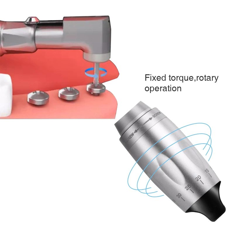 Dental Implant Torque Wrench Ratchet Handpiece Surgical Abutment Tool Driver