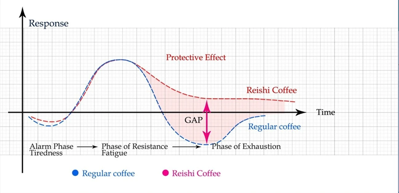 Reishi Coffee OEM Manufacturer Private Label Herbal Supplements Ganoderma Extract Instant Coffee