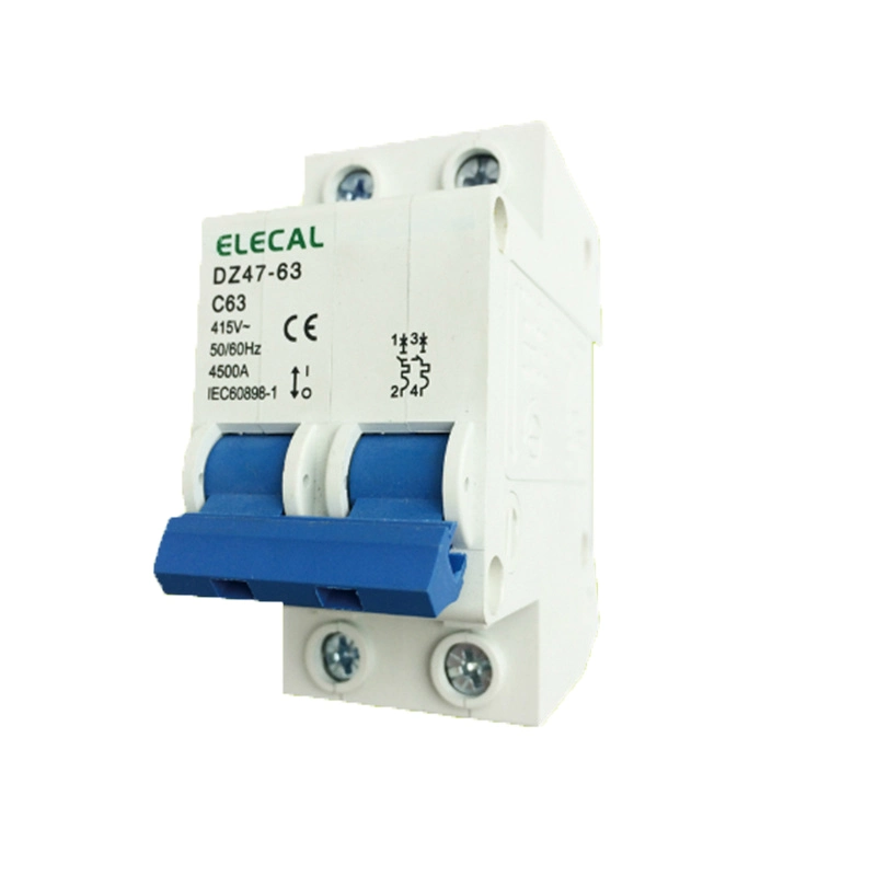 Mini Circuit Breaker (DZ47-63 2P)