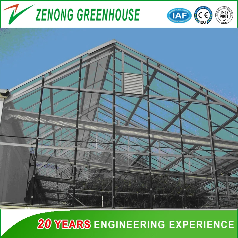 High-Tech Design Glass Multi-Span Greenhouse with Exhaust Fan for Sightseeing/Fruit Tree/Flower Cultivation