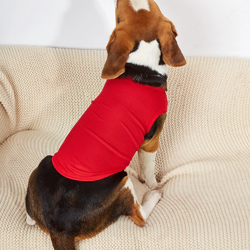 Hot Selling Luxury Designers imperméable PET Dogs vêtements