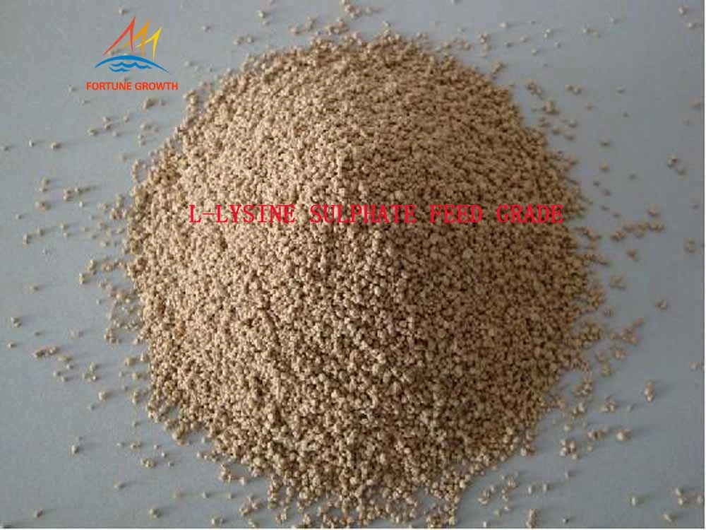 First Grade Quality 70% L-Lysine Sulphate Amino Acid