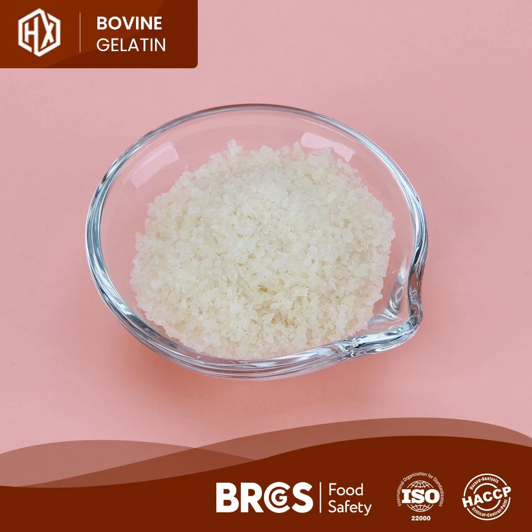 Haoxiang High-Quality Pharmaceutical Bovine Skin Gelatin Powder Free Sample Food Bovine Skin Gelatin China Manufacturer Ready to Ship Halal Bovine Skin Gelatin