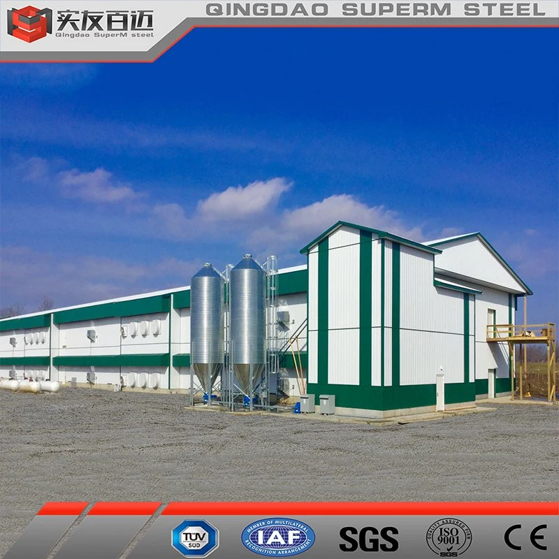 High Strength Light Steel Structure Building Poultry Chicken Broiler Farm House