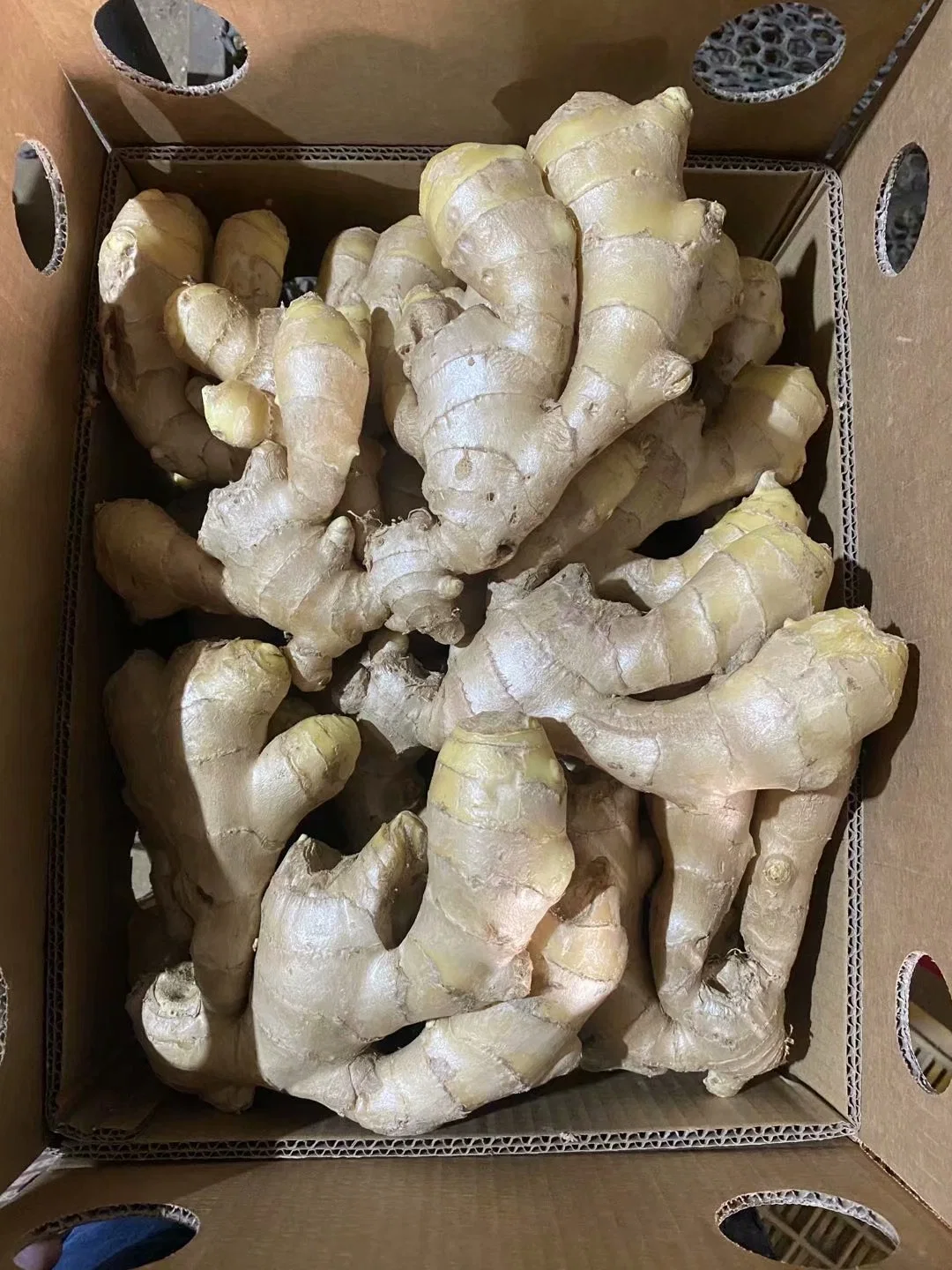 Chinese Fresh Spicy Mature Ginger Sold Directly From The Factory