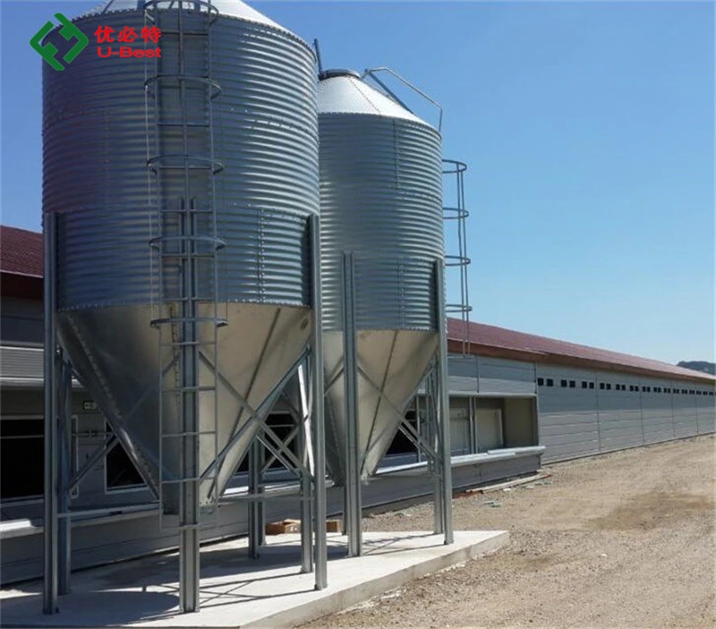 Hot Galvanizing Chicken Coop Equipment of Silo