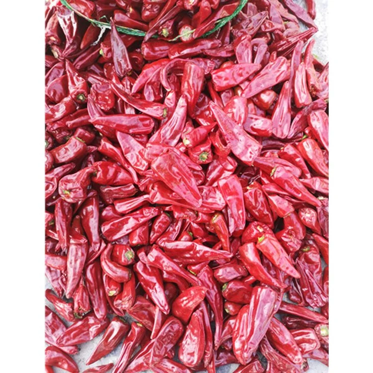 Beijing Red Dried Chili Peppers